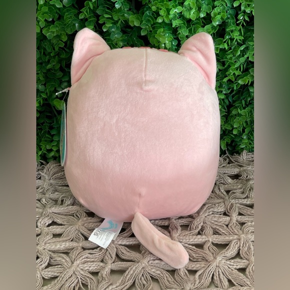 NWT 8” Laura the Pink Tabby Cat Squishmallow - Picture 5 of 6